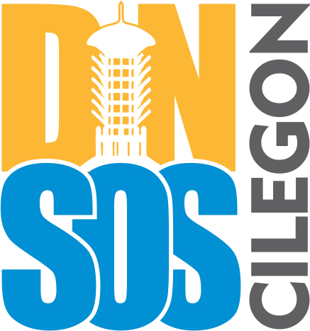 admin_dinsos